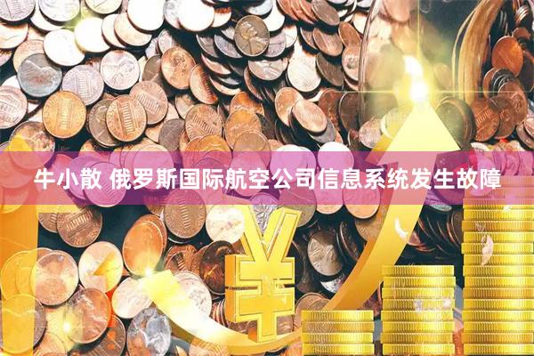 牛小散 俄罗斯国际航空公司信息系统发生故障