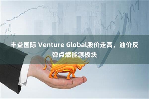 丰益国际 Venture Global股价走高，油价反弹点燃能源板块